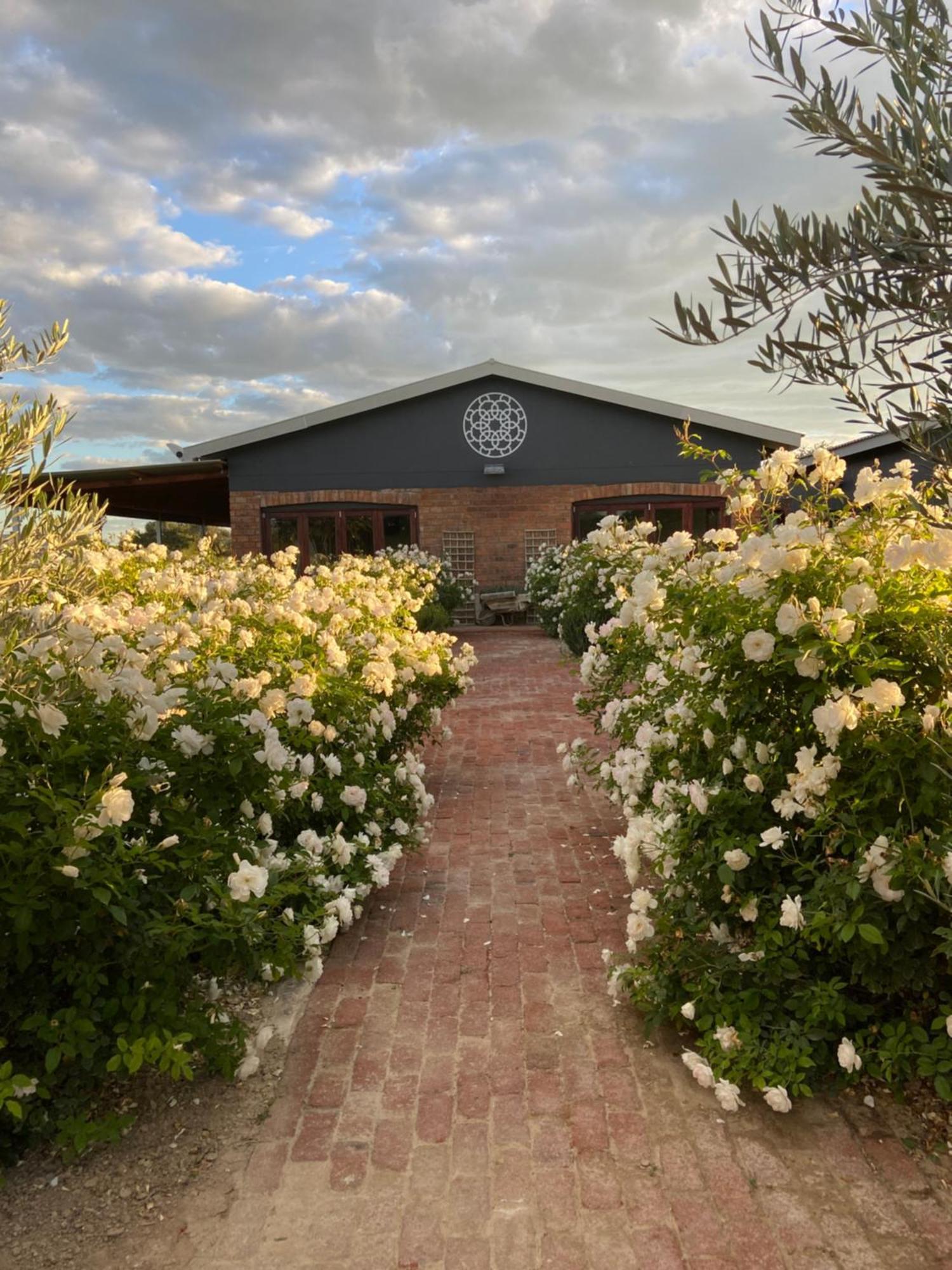 Out Of Nature Country Lodge Windhoek Exterior foto