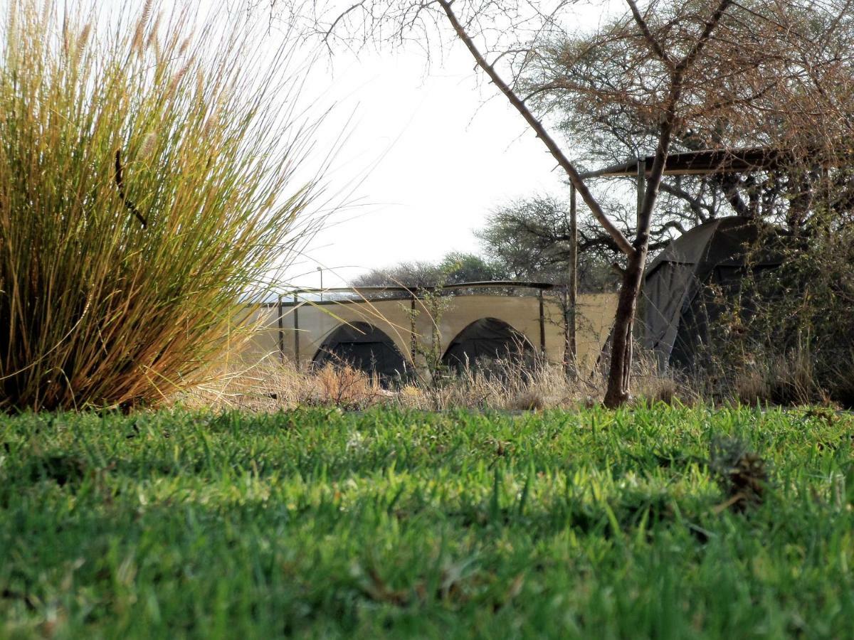 Out Of Nature Country Lodge Windhoek Exterior foto